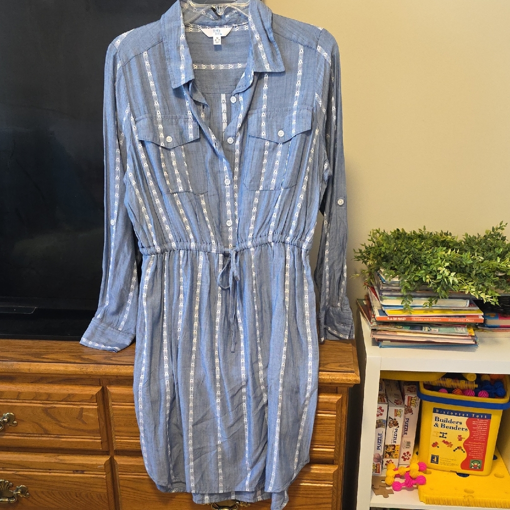 Time and Tru Blue and White Long Sleeve Dress